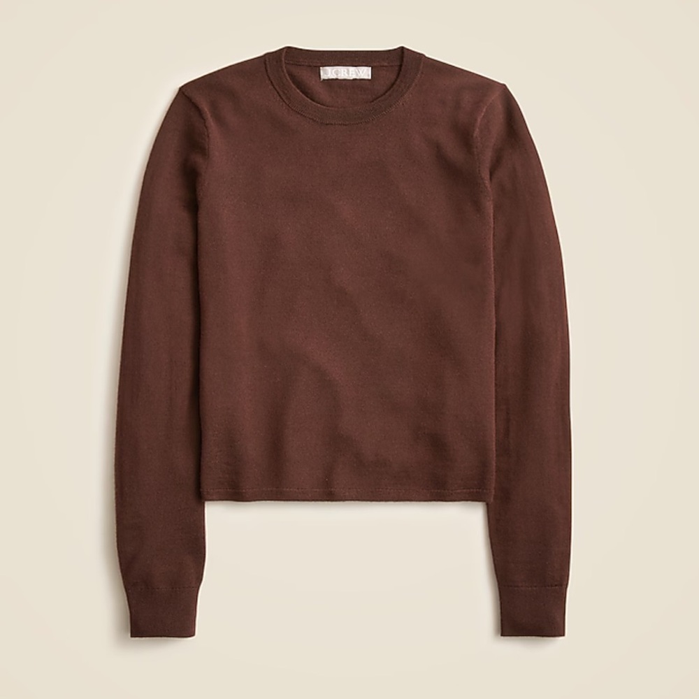 J. Crew Chocolate Brown Crewneck in merino wool